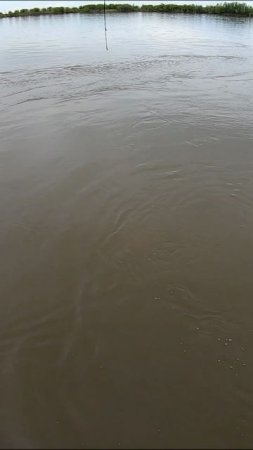 Кто это? Смотри в Телеге Я СПИННИНГИСТ