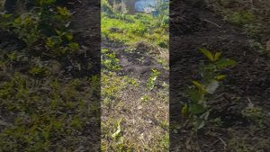 1000150777.mp4