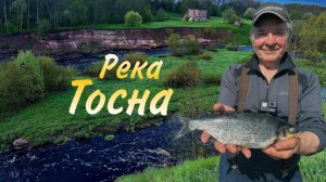 Сырть на реке Тосна/Много крупной Уклейки