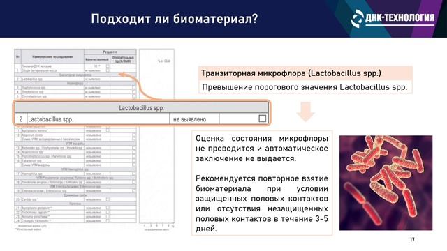 АНДРОФЛОР