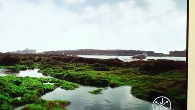 Телевизор TCL 50V6B 2024 смотреть онлайн