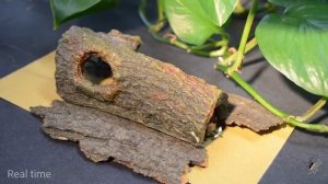 Робот размером с насекомое, способный менять форму, чтобы адаптироваться к различным ландшафтам.