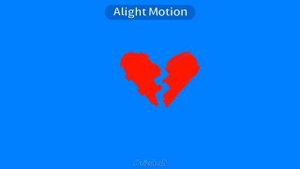 моя кошка / my cat || Animation meme || ⚠️FLASH WARNING⚠️ (alight motion + flipacli