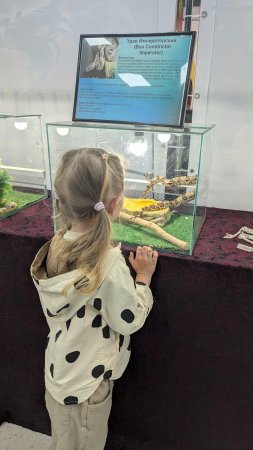 Экзотические животные.