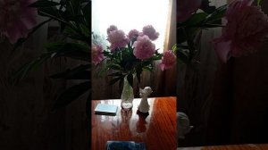 Таро.Что вы думаете о мужчине.