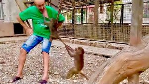 Ну ты посмотри, Люська шемля ревнивая, чуть хвост Степе не оторвала!