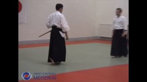21 Aikido Ken No Tebiki Ai Hanmi Nikyo Shishiya Sensei Sandviken 2002