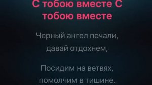 Вечеслав Бутусов - Одинокая птица караоке минус