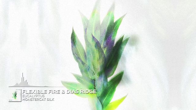 Eucalyptus