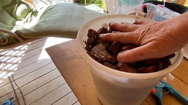 Всё закончилось хорошо. Вернулась на дачу. Любашкина радость.