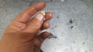 лямбда зонд в разрезе митсубиси лансер 10