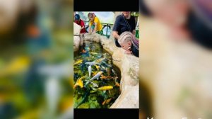 Акция «Добрые дела»