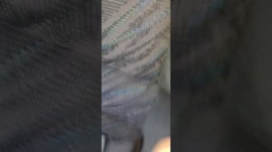 Разница ремней безопасности Toyota Carina ED ST202 рест и дорест.