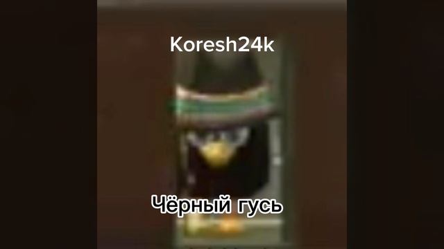 @koresh24k-чёрный гусь эволюция котят 10 #chickengun evolution cat’s 10 смотреть онлайн