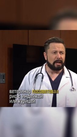 Как мы вылечили аллергию у собаки