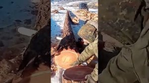 от покупателя, штиль 660 Китай