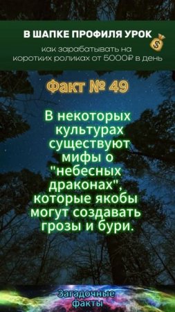 факт (6)