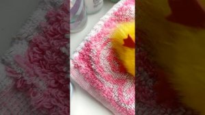 делаю домик для собачки и котиков🩷🍩💫🎧❤️