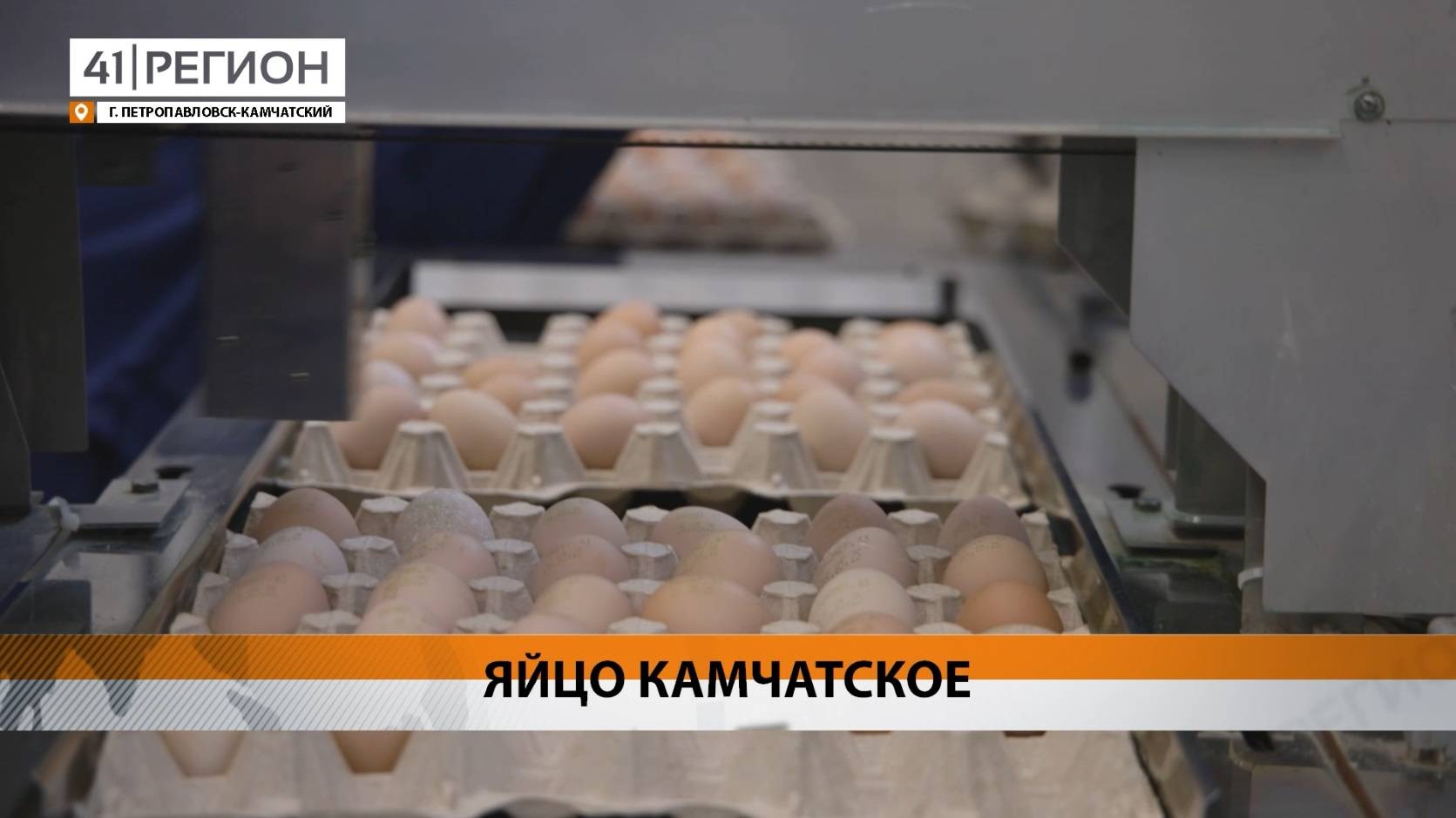 Новости Камчатки за 27 мая 2025 года