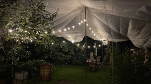 Стрим в саду