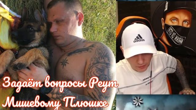 Мишевый Плюшка пополнИл Гарем петухов смотреть онлайн