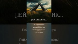 Пей, странник | Песня Тайновидицы