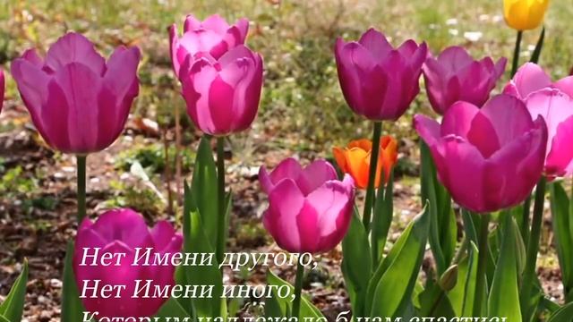 🙏🪗«Нет Имени прекрасней.» Это Имя ИИСУС! 2025. смотреть онлайн