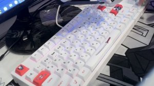 Ardor gaming Wakizashi тайпинг на mint gateron