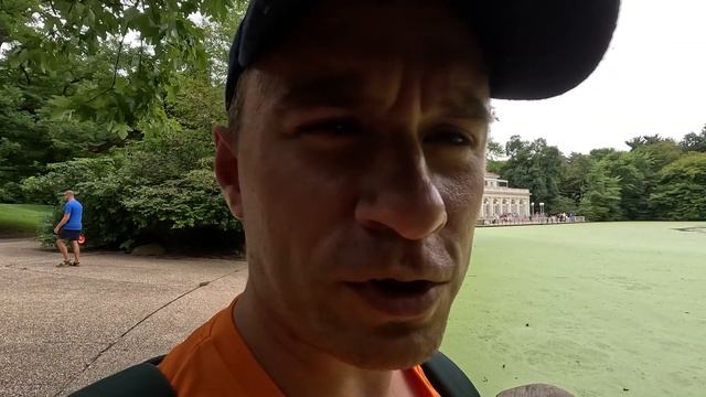 А вы знали, что в центре Нью-Йорка растет настоящий лес смотреть онлайн