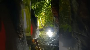 Дино Парк между Ката и Корон — Лучшее развлечение с детьми на Пхукете |.