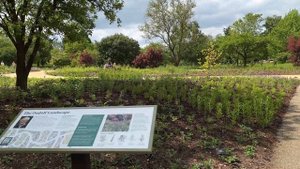 Vlog 524 - Сад Пита Удольфа - полный цикл от планирования д?