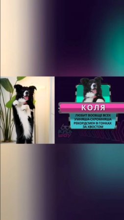 Умняша-скромняша🤩