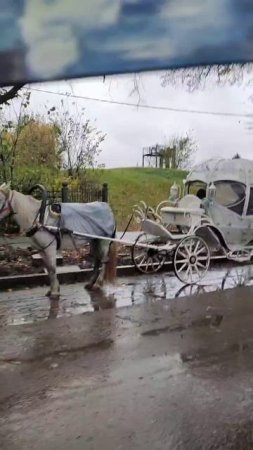 В Суздале по центру возят на каретах с лошадьми