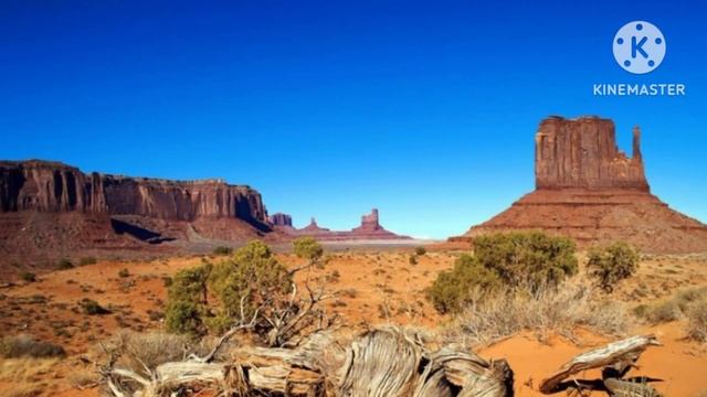 стоять ковбой 🤠  (1 часть) (песня cotton eye joe by rednex) смотреть онлайн