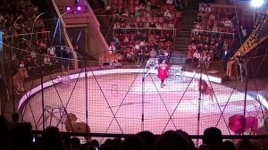 Луганский цирк.Выступление Хамада Куты