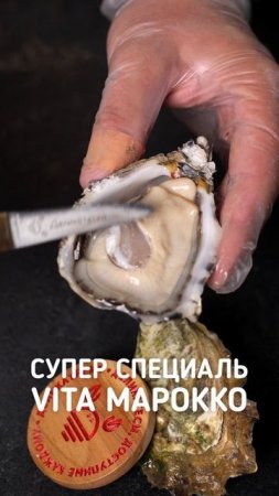 Устрица Супер Специаль Vita Марокко