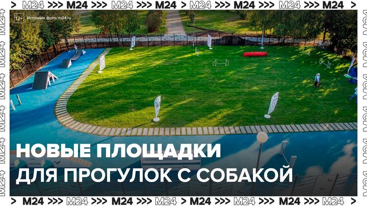 Более 20 площадок для прогулок с домашними животными откроют в Москве в 2025 году - Москва 24