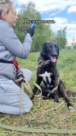 Лилу в добрые руки