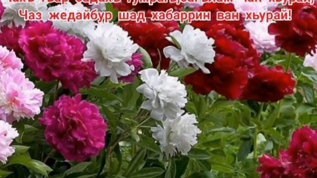 Автор видео Дильмира Ашурбекова / 15.06.2020 год смотреть онлайн