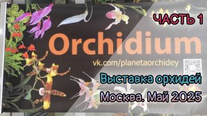 Выставка орхидей Орхидиум. Москва. Май 2025