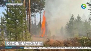 ТК МИР_Природные пожары в Бурятии