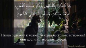 Арабский язык на слух. Рассказ с переводом для уровня ?