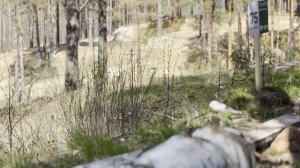 Участок ИЖС, 19,4 сот., Мистолово ЛО