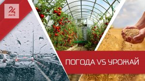 Когда наступит лето и подорожают ли овощи?