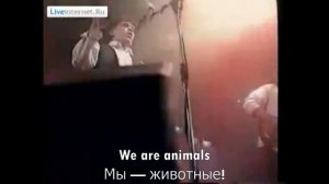 Nazareth - Animals (Перевод песни на русский язык)