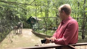 Это УДИВИТЕЛЬНО! Олег Зубков просто перепрыгнул через забор и пошел к родившей только что зебре!