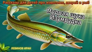 Щука Изумрудка. Сказка про мудрую щуку. Очень наглядно, красочно. Детский писатель Левинов Иран.