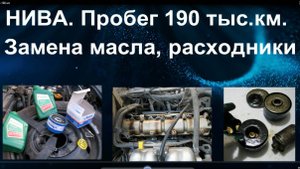 НИВА. Состояние мотора после 190 тыс.км. Замена масла, расходники.