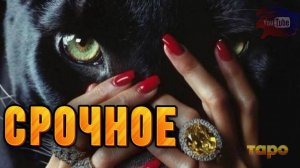 💯🔥СРОЧНОЕ🔥💯ОТ ВЫСШИХ СИЛ‼️🫂✅