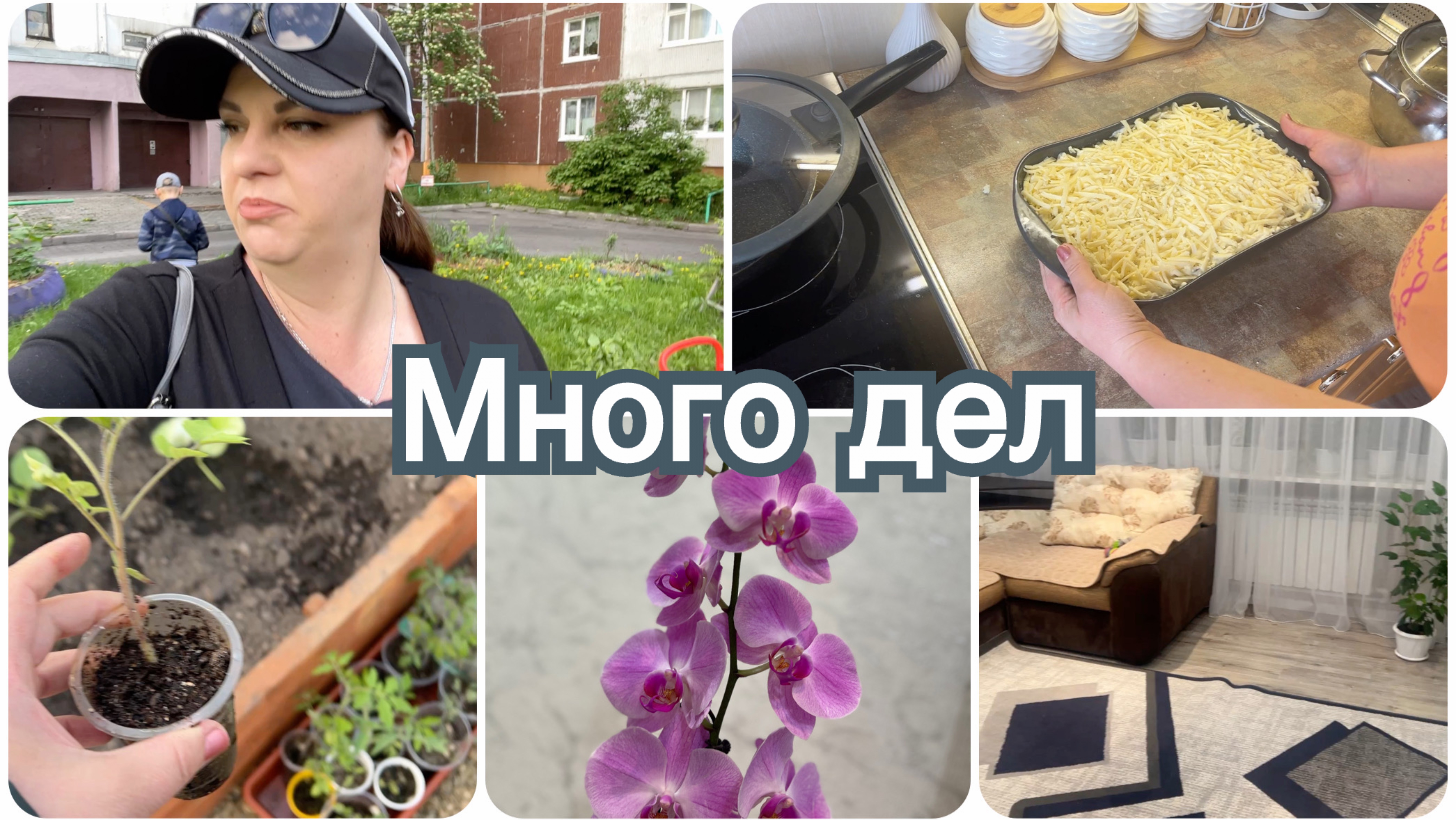 Боялась мороза. Уборка полным ходом. Вкусное и быстрое блюдо.